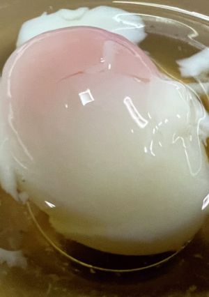 温泉玉子10個一気に低温調理器で作ったよ-レシピのメイン写真
