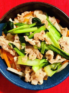 野菜たっぷりガーリック塩ぶた丼-レシピのメイン写真
