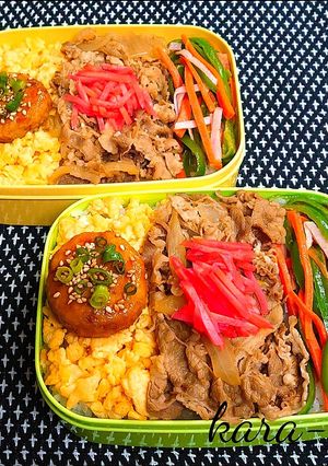 食いしん坊大満足♪三色牛丼弁当-レシピのメイン写真