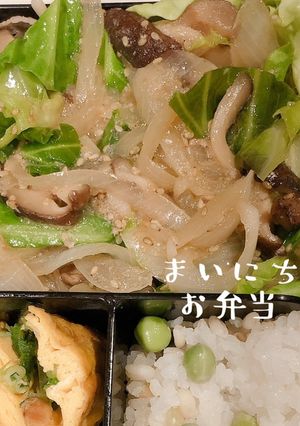 お弁当に絶品!味噌豚キャベツ♪-レシピのメイン写真