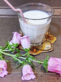 アイラン★トルコ風ヨーグルトドリンク♪-レシピのメイン写真