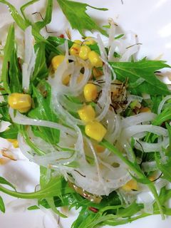 新玉ねぎと水菜のコーン入サラダ-レシピのメイン写真
