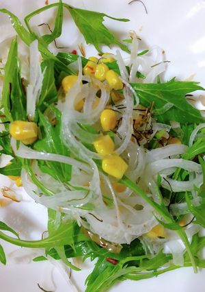 新玉ねぎと水菜のコーン入サラダ-レシピのメイン写真