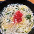 トロっと玉子とじうどんにタラコトッピング