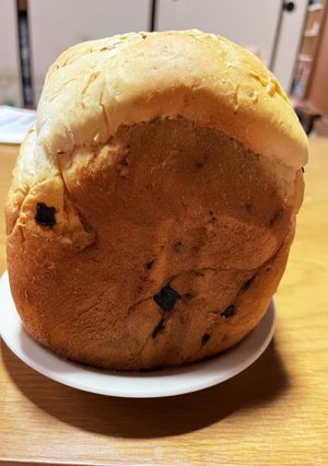 早焼きミルクレーズン食パン-レシピのメイン写真