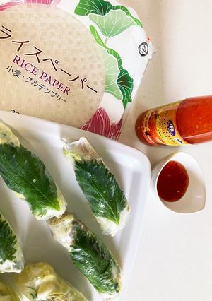 ヘルシー生春巻き-レシピのメイン写真