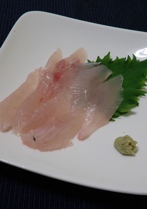 カガミダイの刺身-レシピのメイン写真