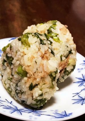 からし菜のおにぎり-レシピのメイン写真