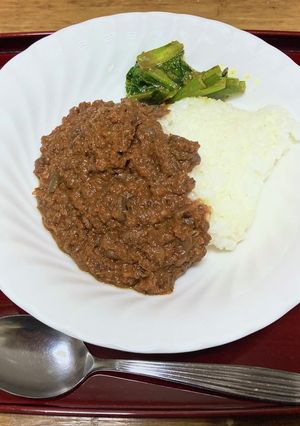 玉ねぎ不要! 精進スパイスカレー-レシピのメイン写真