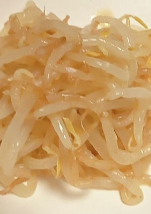 青ばんカレー風味でさっぱりもやし-レシピのメイン写真