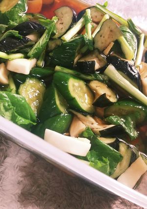 茄子キュウリ大葉とかぶのにんにく生姜漬物-レシピのメイン写真