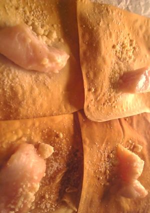 ワンタン皮の鶏ささみ粉チーズ乗せ焼き-レシピのメイン写真