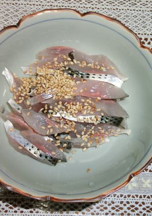 コノシロの刺身-レシピのメイン写真