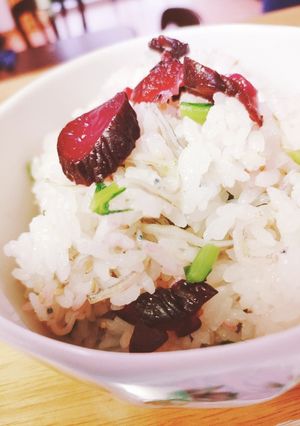 もっちり!じゃこたっぷり菜めし-レシピのメイン写真