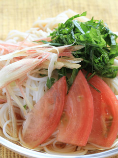 さっぱりそうめん 【濃縮だしアレンジ】-レシピのメイン写真