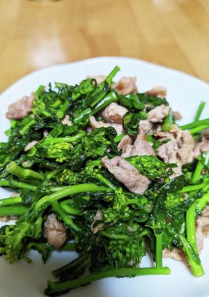 菜の花と豚肉のオイスターソース炒め-レシピのメイン写真