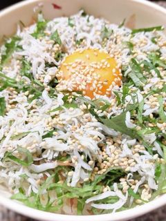 しらすご飯-レシピのメイン写真