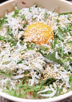 しらすご飯-レシピのメイン写真