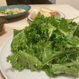 シンプルなケールサラダ