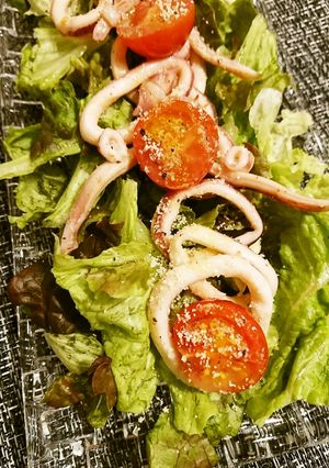 イカとトマトのサラダ-レシピのメイン写真