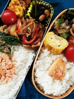 豚肉パプリカ炒め弁当(3.23)-レシピのメイン写真