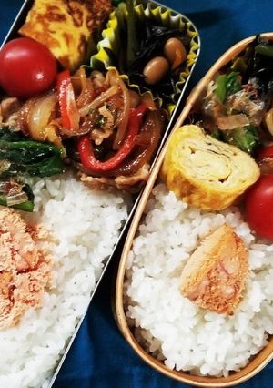 豚肉パプリカ炒め弁当(3.23)-レシピのメイン写真