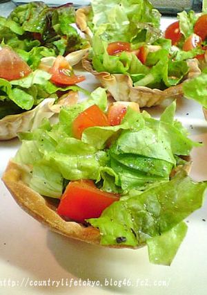 餃子の皮カップサラダ-レシピのメイン写真
