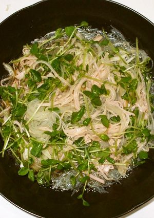 はるさめ豆苗サラダ♪簡単皮膚病に漢方薬膳-レシピのメイン写真