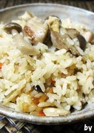 生姜香る♫ 甘くない＂鶏肉の炊き込みご飯-レシピのメイン写真