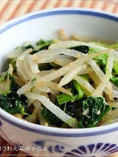 簡単病みつき☆もやしとほうれん草のナムル-レシピのメイン写真