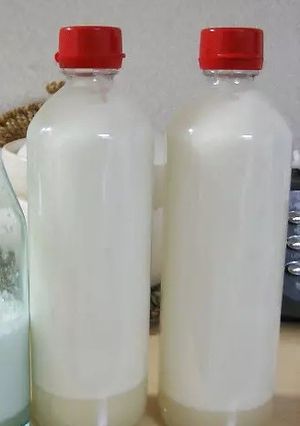 新玉葱の白いドレッシング　カロリー控えめ-レシピのメイン写真