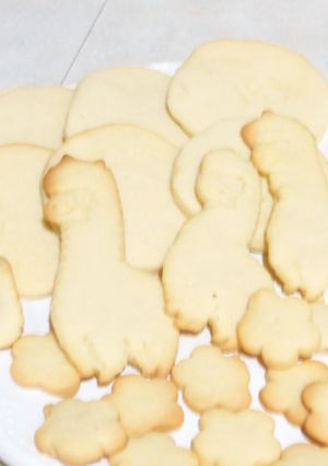 簡単サクサククッキー-レシピのメイン写真