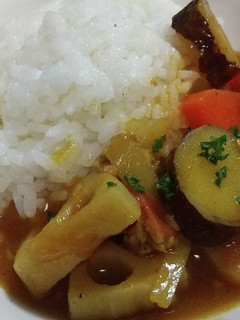 根菜のカレー-レシピのメイン写真