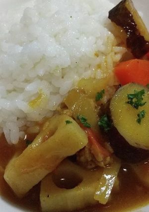 根菜のカレー-レシピのメイン写真
