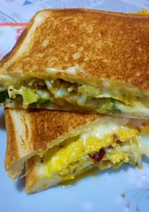しらす入り玉子焼き＋白ねぎのホットサンド-レシピのメイン写真