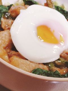 コク旨!豚肉生姜焼き丼☆マヨカレー味!-レシピのメイン写真