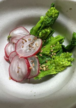 菜の花とラディッシュのおしたし-レシピのメイン写真