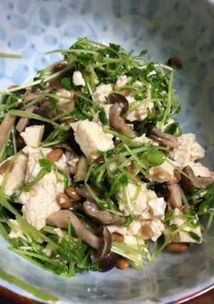 豆苗とキノコのねばねば豆腐サラダ-レシピのメイン写真