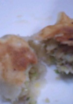 餃子(浜松風) ~皮作りから~-レシピのメイン写真