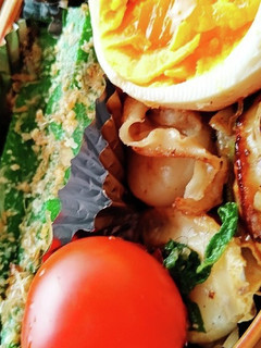 お弁当★あと1品レンジでオクラごま和え-レシピのメイン写真