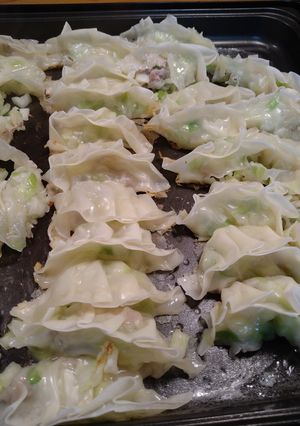 野菜が主役の餃子-レシピのメイン写真