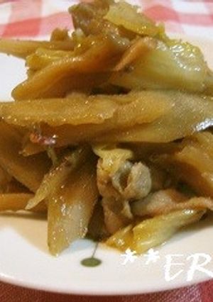 豚肉と白菜とごぼうの煮物～♪♪-レシピのメイン写真