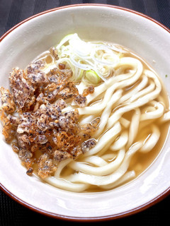ゆかり揚げ玉うどん-レシピのメイン写真