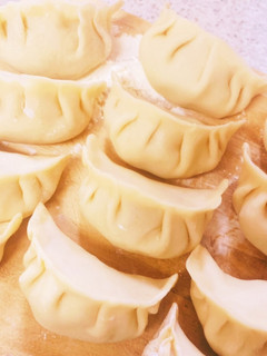 肉汁溢れる餃子(包み方焼き方手順込み)-レシピのメイン写真