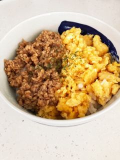そぼろ丼!いっぱい作って色々アレンジ-レシピのメイン写真