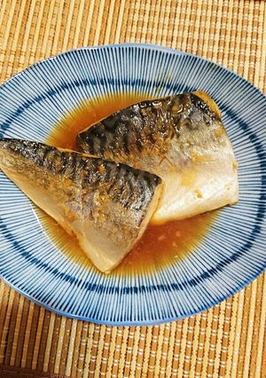 塩さばの味噌煮込み〜初めてです。-レシピのメイン写真