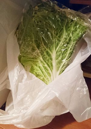 白菜の保存はこれだ。冬限定よ！-レシピのメイン写真