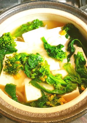 豆腐の煮物「煮奴」　菜の花・発酵玉葱-レシピのメイン写真
