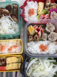 ヤツと私の弁当たまに娘 3/29-レシピのメイン写真