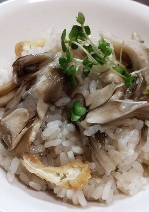 舞茸ご飯-レシピのメイン写真